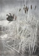 郎琳作品