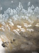 郎琳作品
