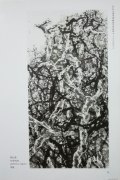 胡长森作品