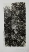 胡长森作品