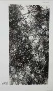 胡长森作品