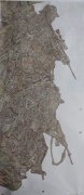 周峰作品