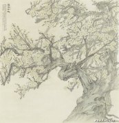 樊磊作品