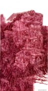刘君作品