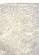 王翠玉作品