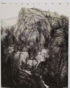 汤凤云作品