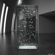 王刚作品