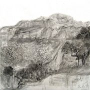 苑鸣鑫作品