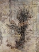 李帅作品