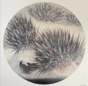 梁善作品