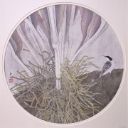 梁善作品
