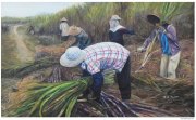 杨春彬作品