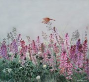 温太云作品