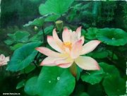 杨旭光作品