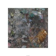 吴芳代表作品
