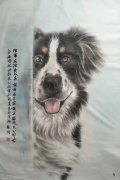 王晓真作品