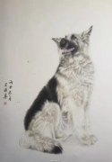 王晓真作品