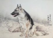 王晓真作品