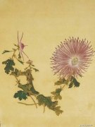 王延格作品
