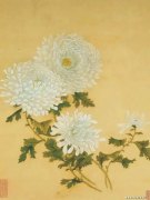 王延格作品