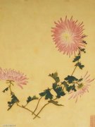 王延格作品