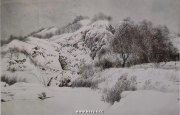 杜平作品
