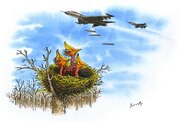 范林涛作品