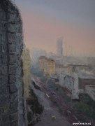 苏晓旺作品