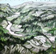 胡世鹏作品