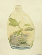游宇作品