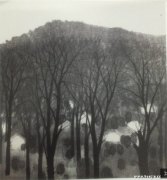徐蓉蓉作品