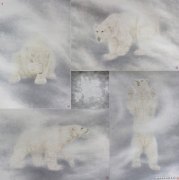 刘元模作品