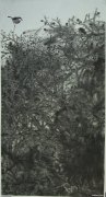 杨茂宗作品