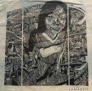 舒莎作品