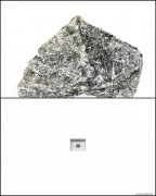 刘冠儒作品