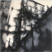陈瑶作品