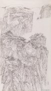 崔勇强作品