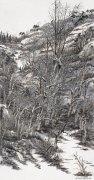 贾少波作品