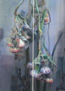 孟燕作品