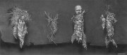 杨少华作品
