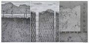 杨少华作品