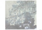 马金波作品