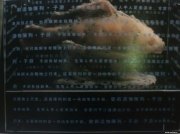 杨志强作品