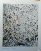 陆倩作品