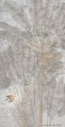赵立国作品