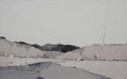 付浩作品