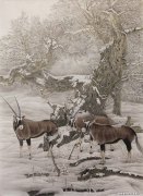 方生洪作品
