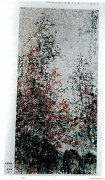 赵大安作品