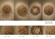 吴帆作品
