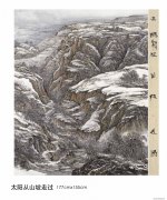 王树嘉作品